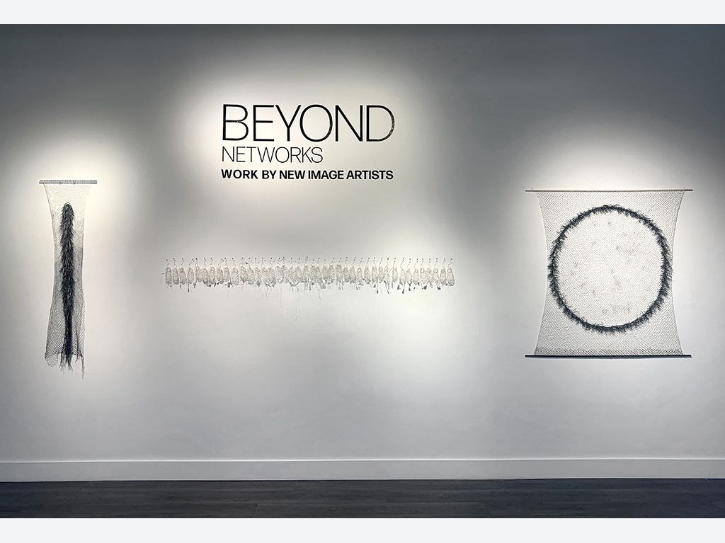 Beyond Networks: Work by New Image Artists